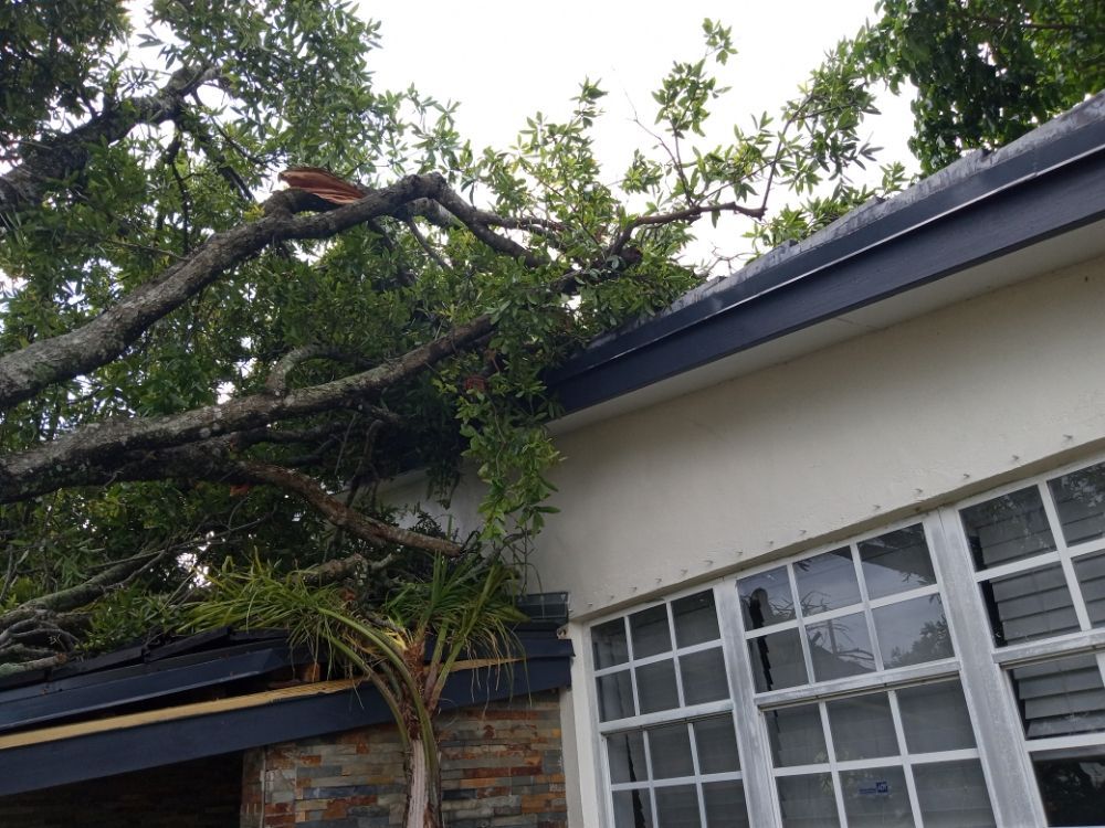 A tree has fallen on the roof of a house.