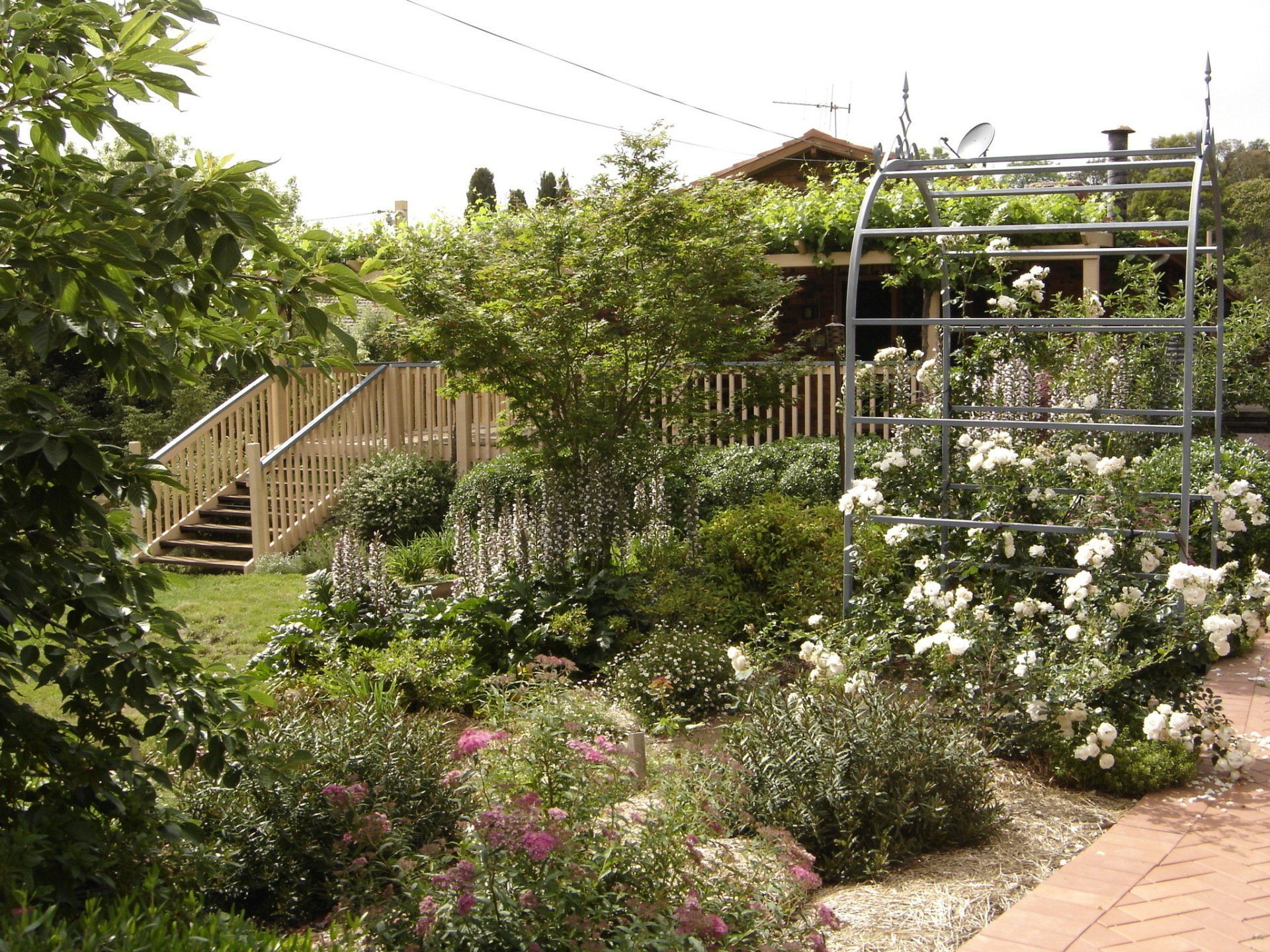A garden with lots of flowers and a house in the background
