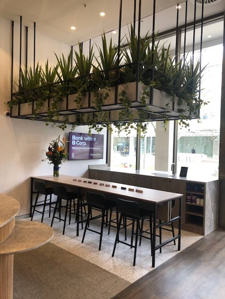 A long table and chairs in a room with plants hanging from the ceiling.