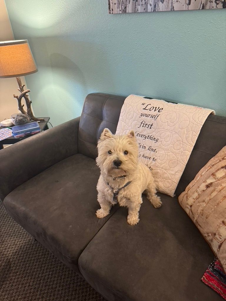Bentley | ASWC Therapy Dog