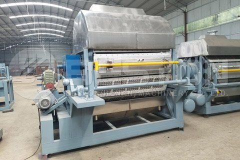 Paper Egg Tray Equipment for Sale