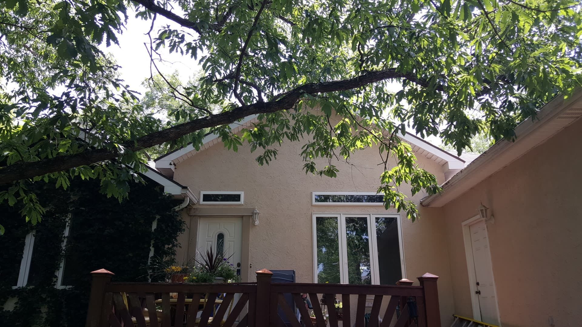 Tan house with white trim, topped by a tree branch against blue sky.