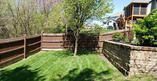 Lawn with brown fence, tree, and stone retaining wall in a backyard setting.