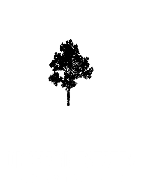 Silhouette of a tree with a full, detailed crown against a white background.