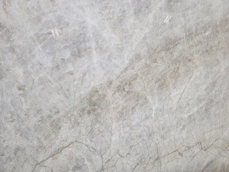 Light gray, textured surface with visible veins and cracks.