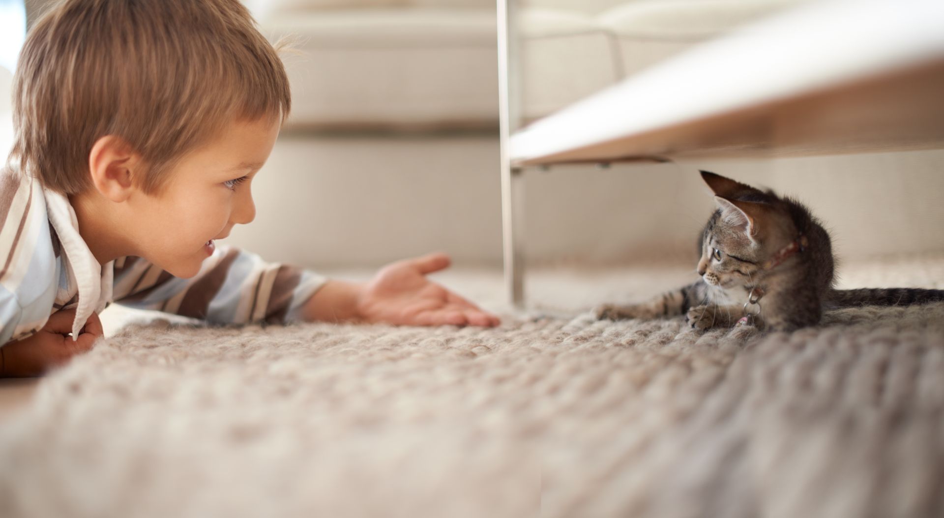 Boy on rug reaching toward a tabby kitten under a table, both smiling.