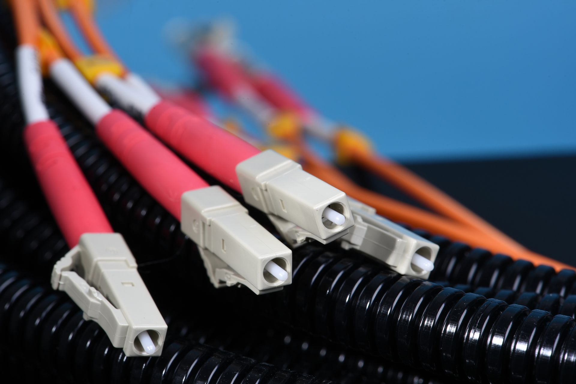 Primo piano di connettori per cavi in fibra ottica con codice colore su una guaina nera corrugata.