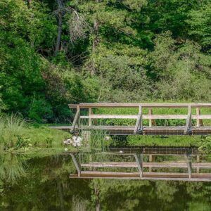 A wooden bridge over a body of water with trees in the background.
