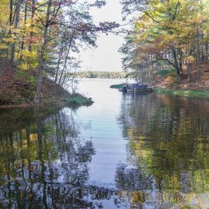 A lake in the middle of a forest with trees reflected in the water.