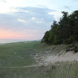 A sunset over a grassy field with trees and a sand dune in the foreground.