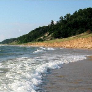 A beach with waves crashing on the shore and trees in the background