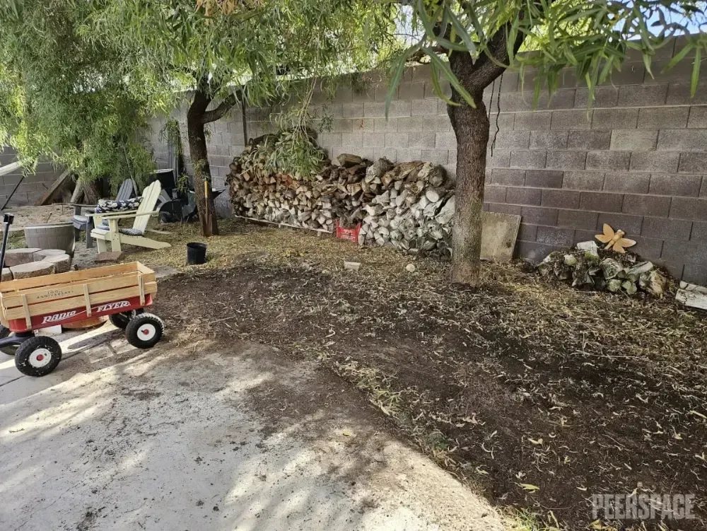 A red wagon is parked in a backyard next to a pile of wood.