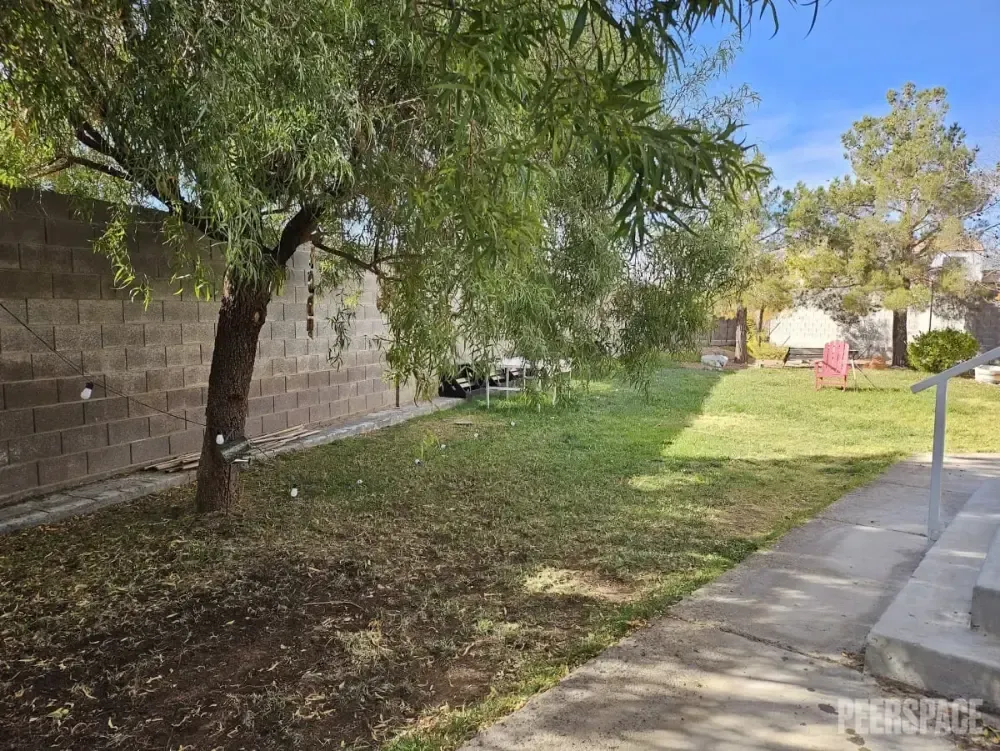 There is a tree in the middle of the yard.