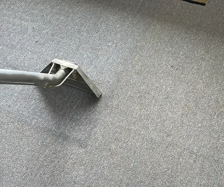 A vacuum cleaner is cleaning a carpet in a room.