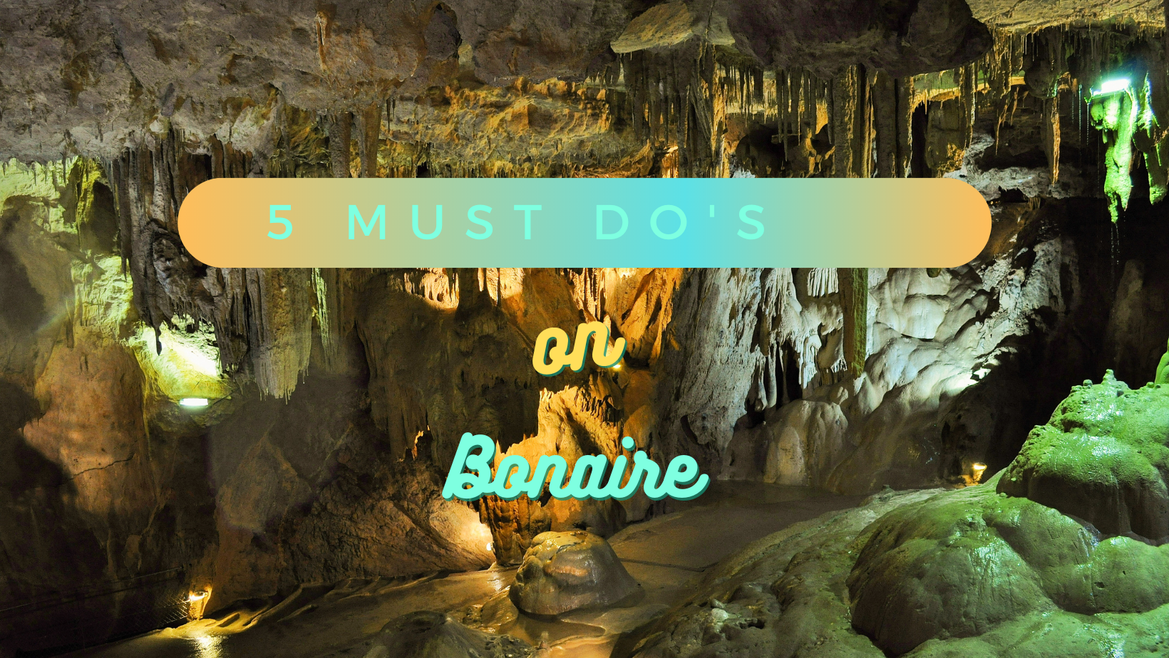 5 MUST DO activities on Bonaire