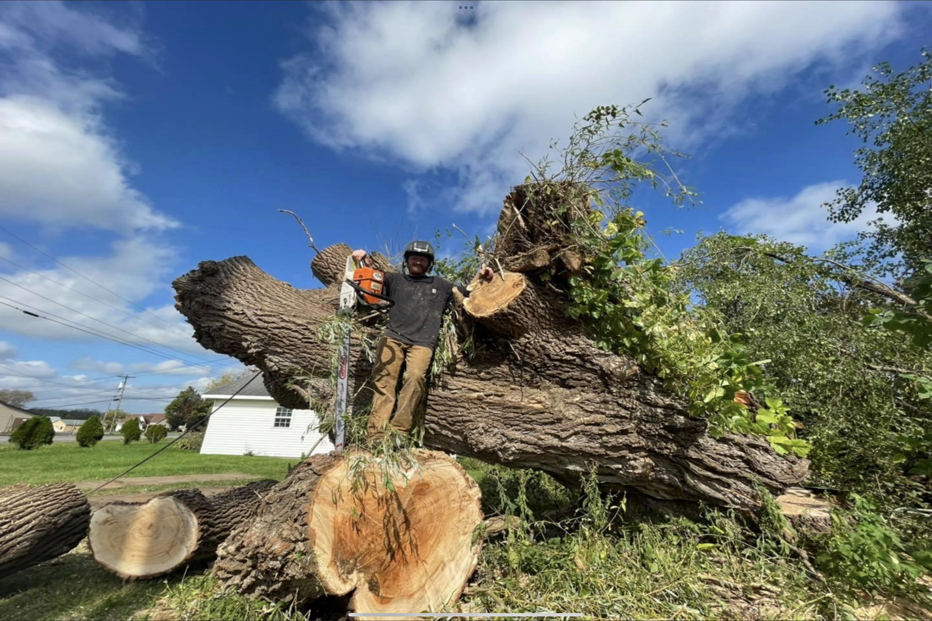 Tree And Stump Removal - Durhamville, NY - Helmer’s Complete Tree & Landscape