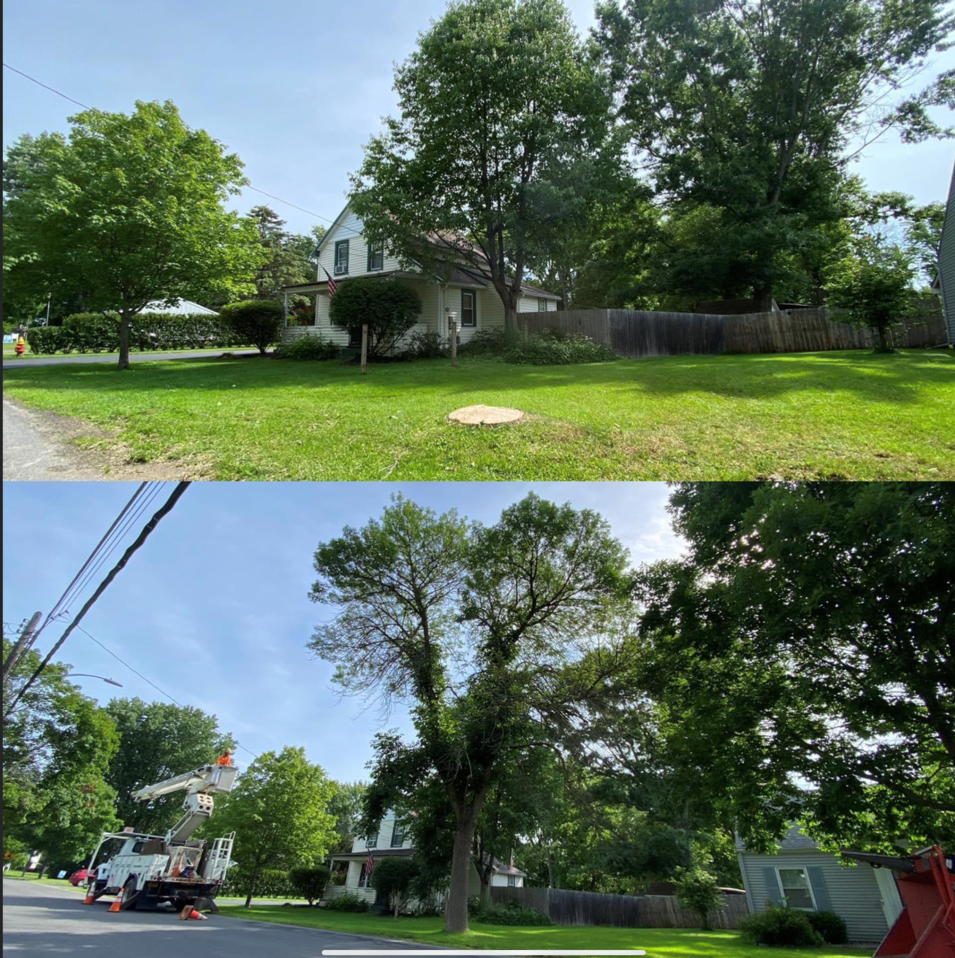 Tree Removal With Grass - Durhamville, NY - Helmer’s Complete Tree & Landscape