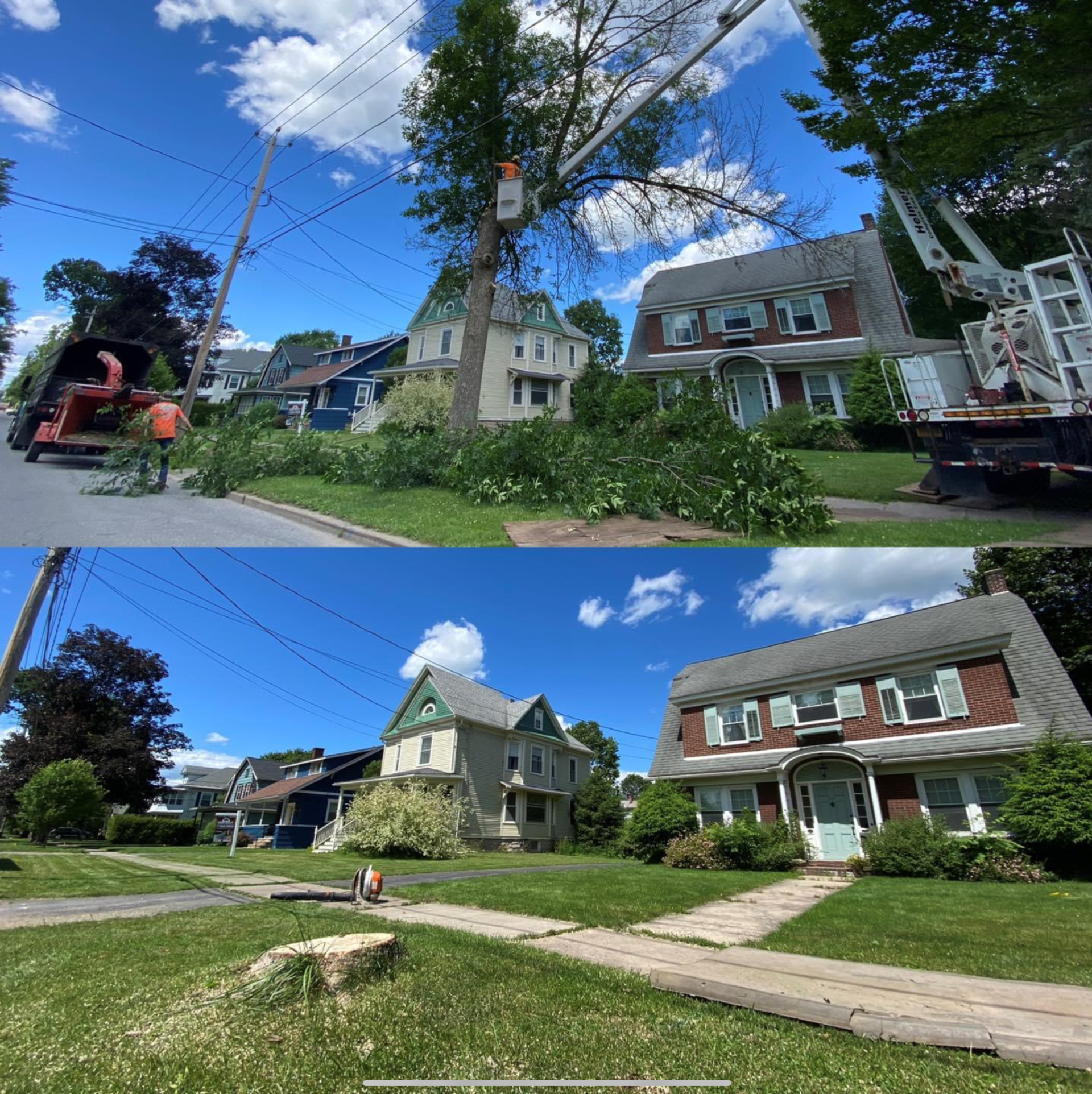 Tree Removal On Front Of A House - Durhamville, NY - Helmer’s Complete Tree & Landscape