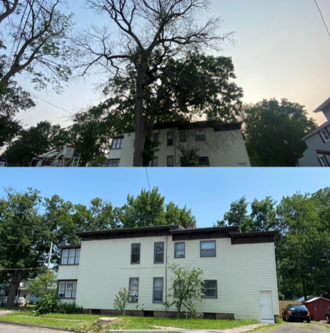 Tree Removal With White House - Durhamville, NY - Helmer’s Complete Tree & Landscape