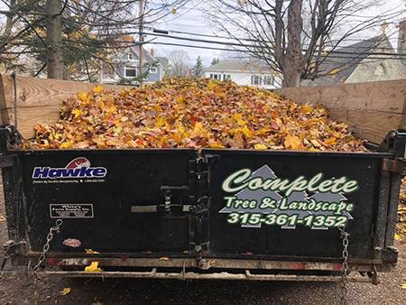 Truck With Leaves - Durhamville, NY - Helmer’s Complete Tree & Landscape