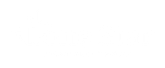 Lone Star Accountability Project Logo