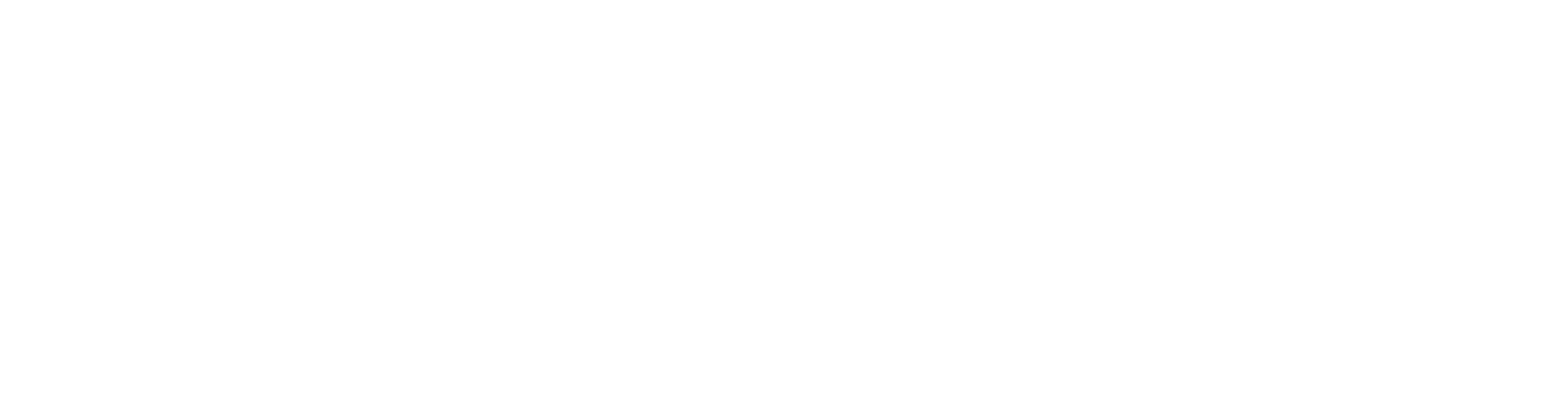 Texas Lake and Land Real Estate Group Logo