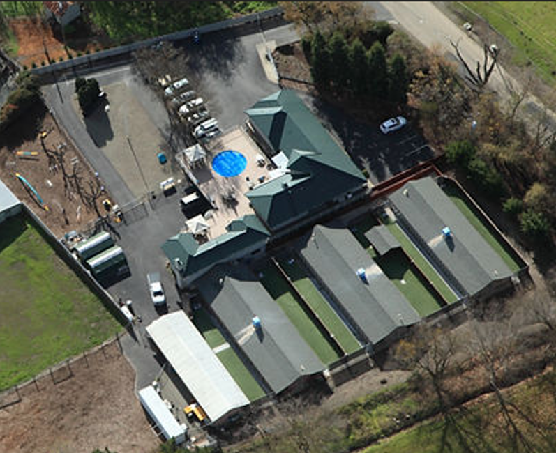 Aerial view of a dog boarding facility with multiple buildings, a pool, and outdoor areas.