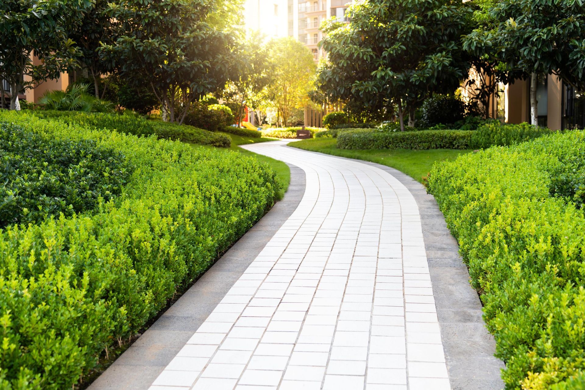 White brick path winds through a green, lush garden toward sunlight.