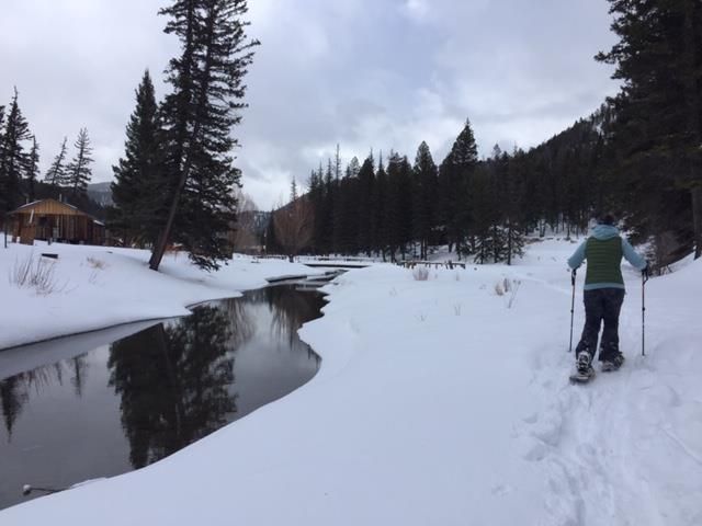 winter scene with stream and trees