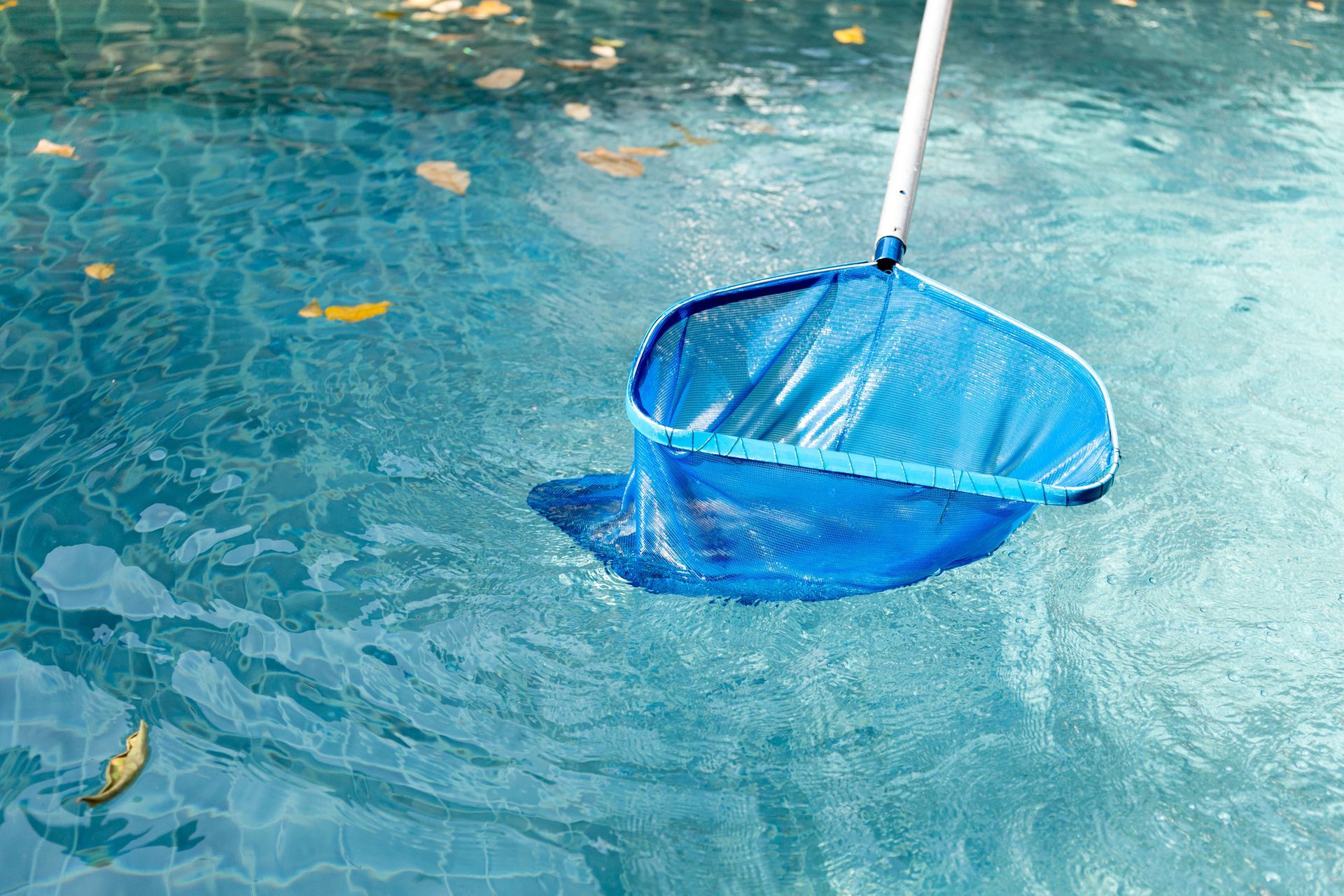 Pool Cleaning Service in Camarillo, CA