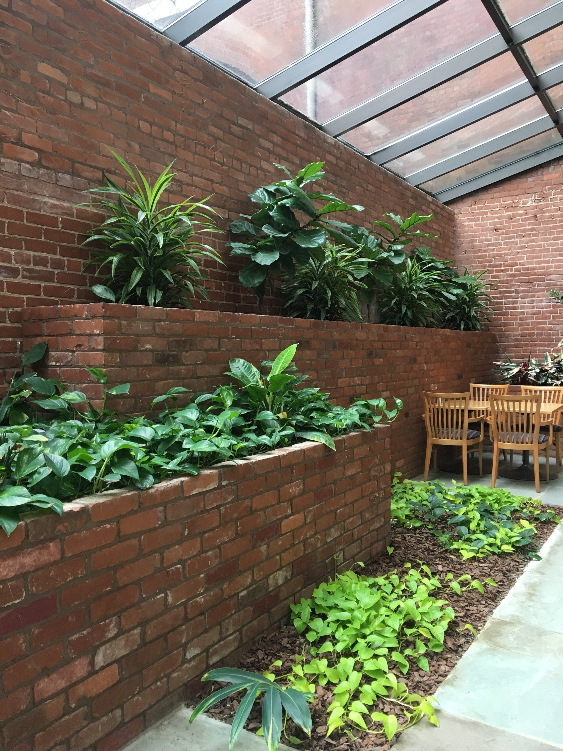 leased plants in office building