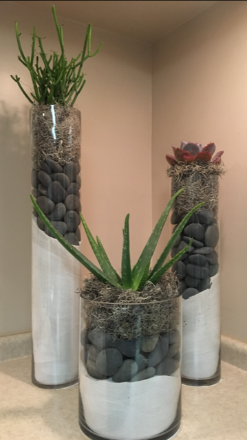 large office potted plant display