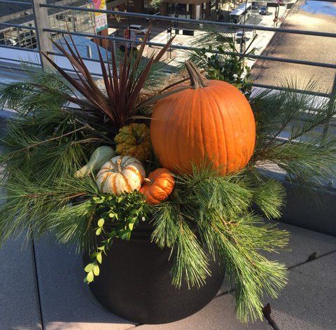 large outdoor fall planter for offices & business