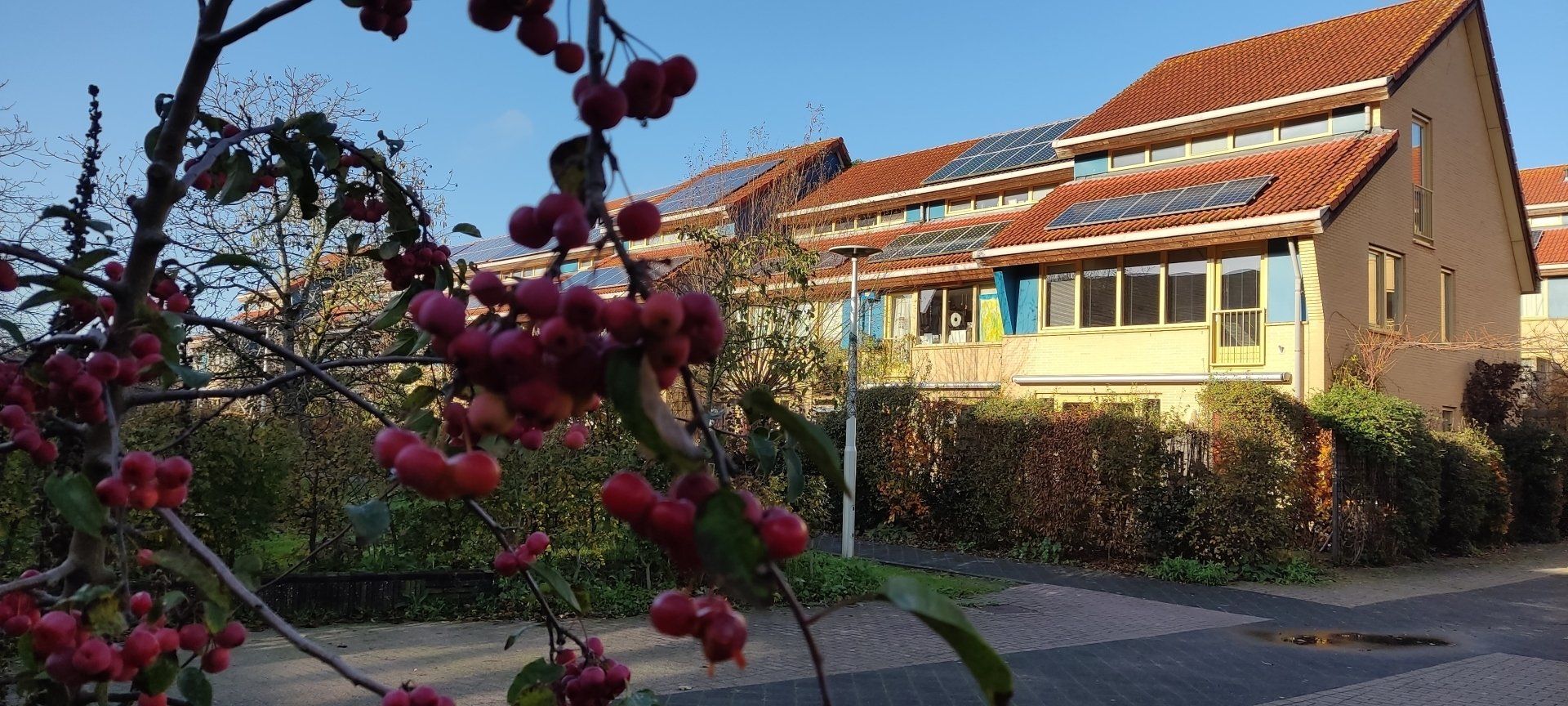 Groen wonen in De Kersentuin