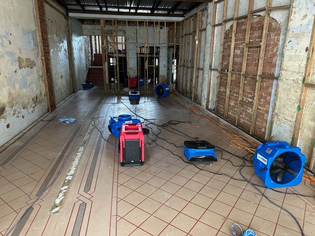 A Room With Dryers on the Floor — Goat Collective in Tintenbar, NSW