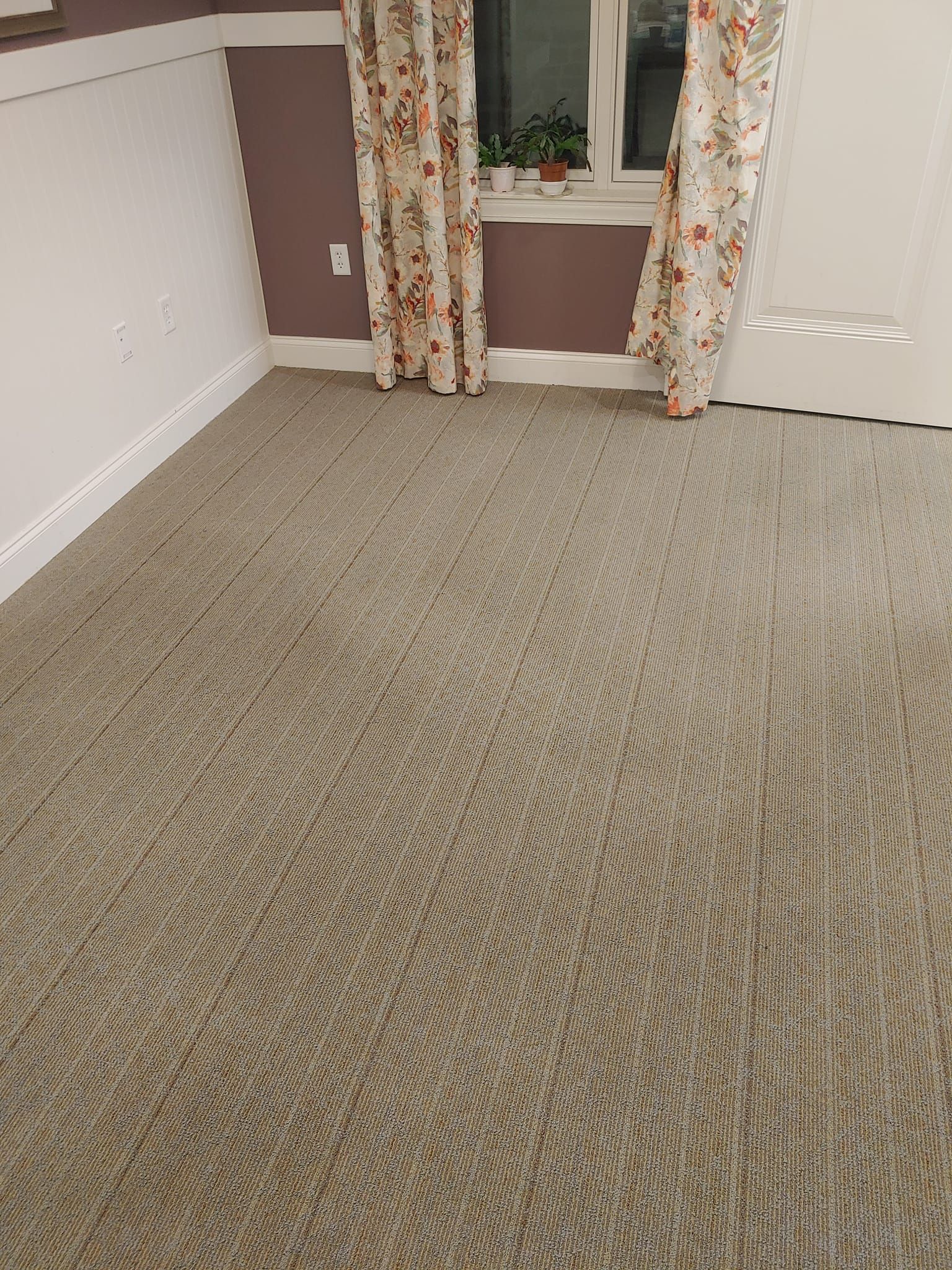 Room with patterned tan carpet, purple wall, floral curtains, and a window with a plant.