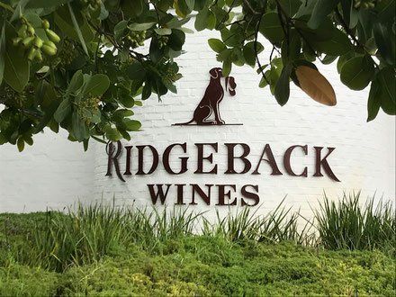 Ridgeback WineYards