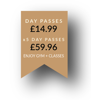 day passes at revolve fitness