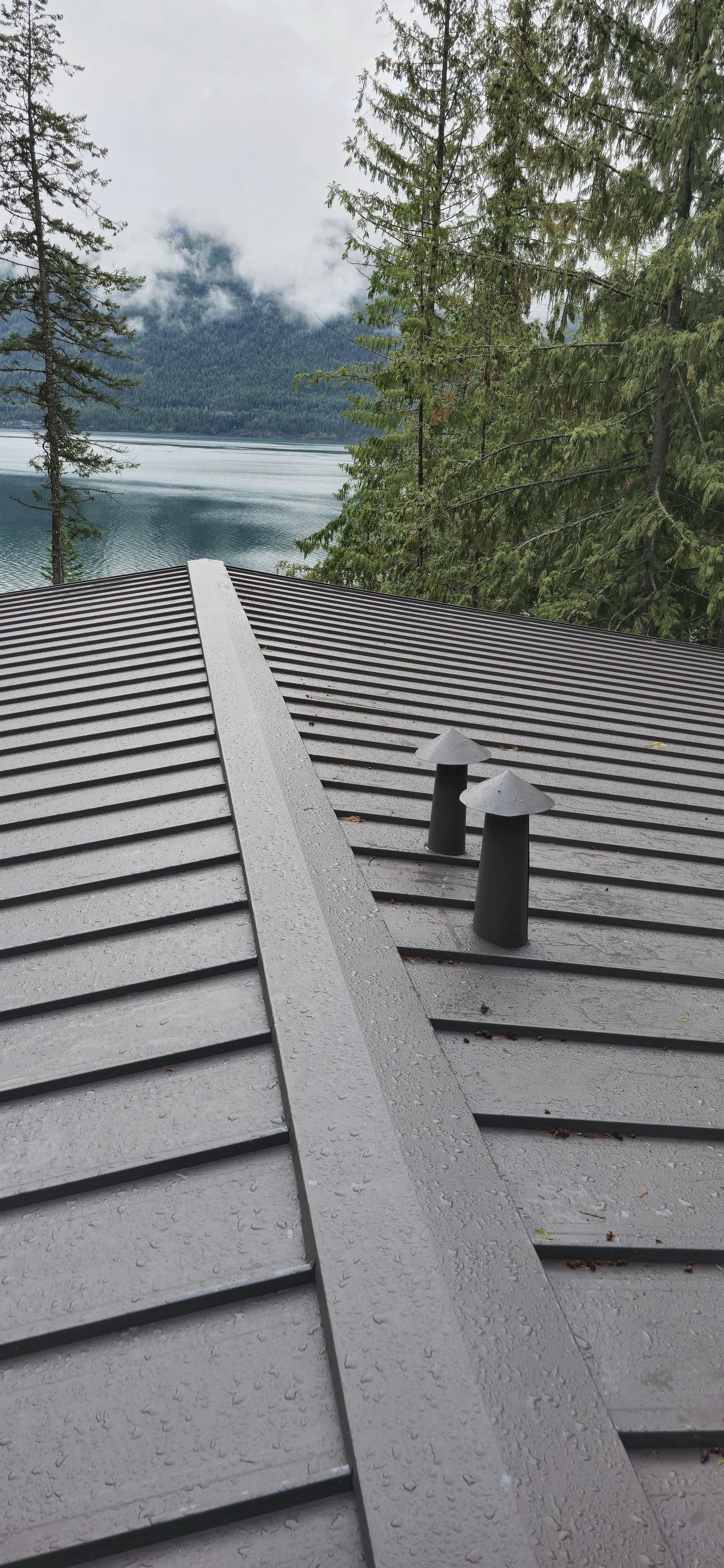 Snow-dusted roof with black vents overlooking trees and a cloudy lake view