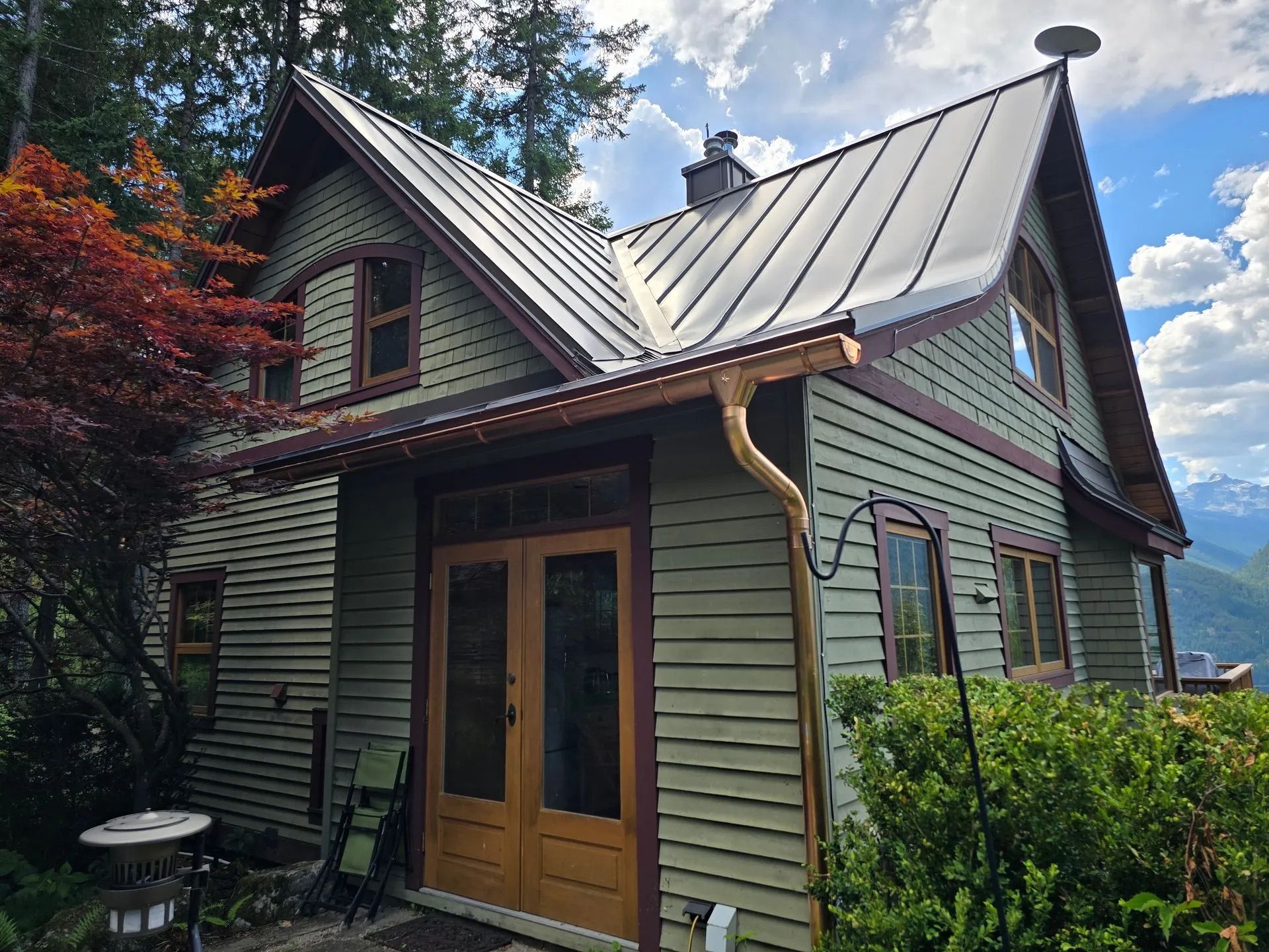 Cozy green cottage with a metal roof, wooden door, and garden plants under a blue sky.