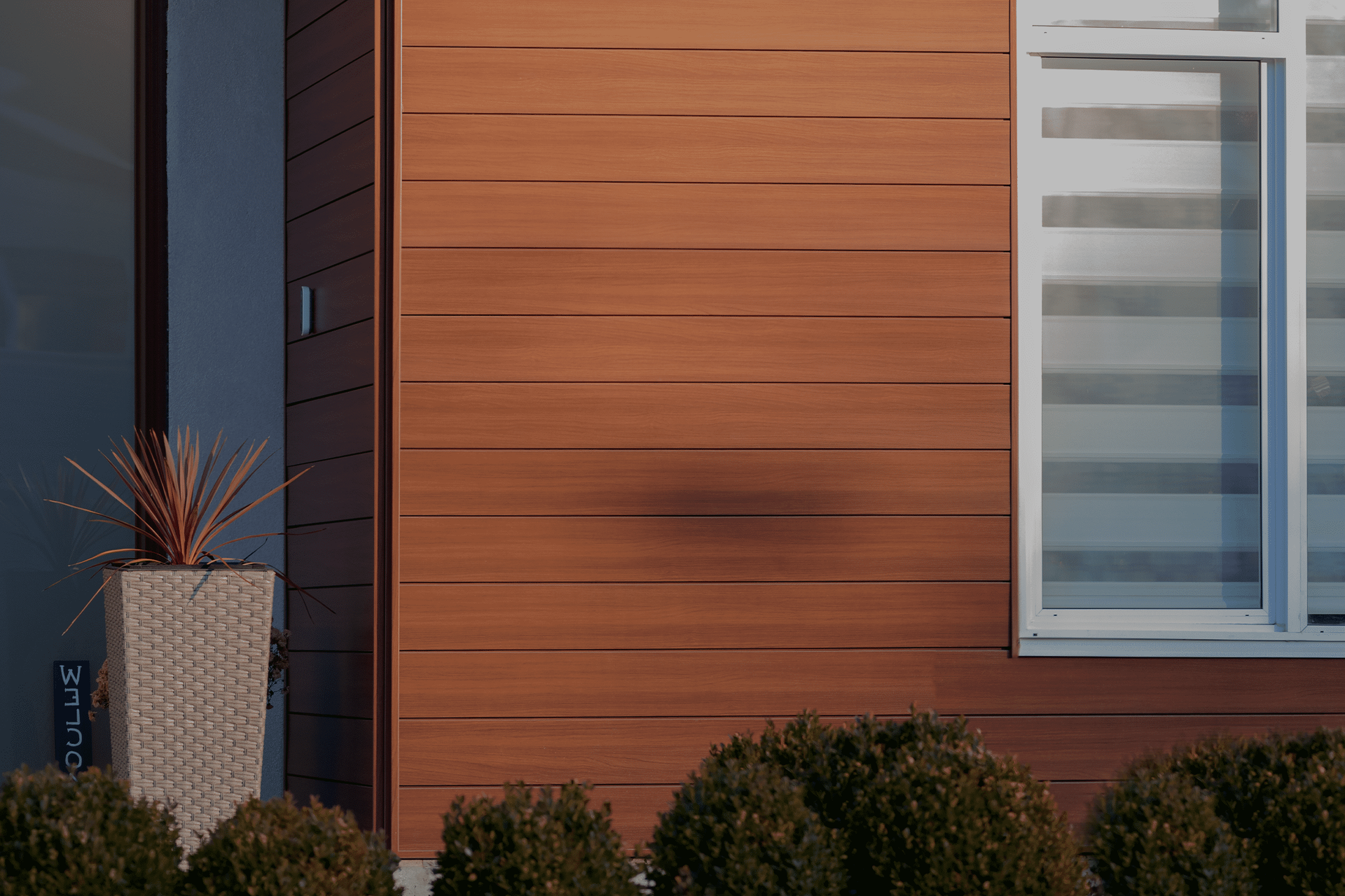 Modern house exterior with orange wood siding, frosted window, and shrubs in front