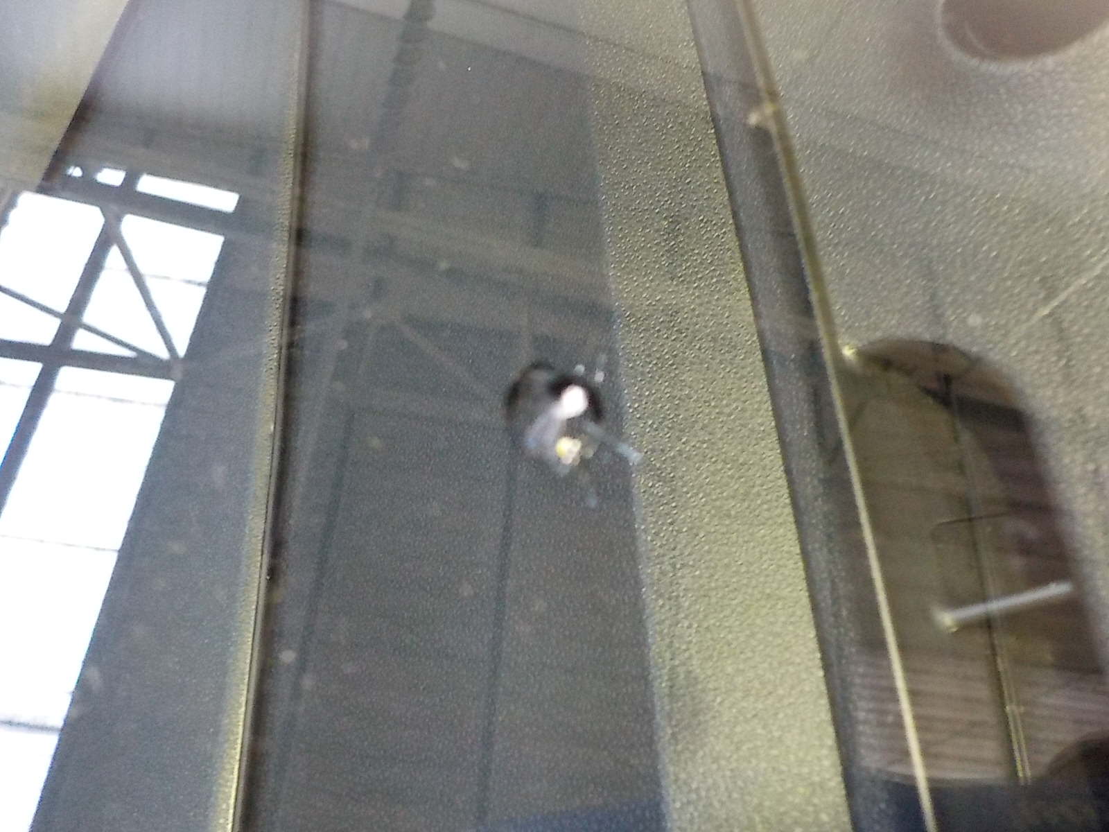 danno da grandine su auto