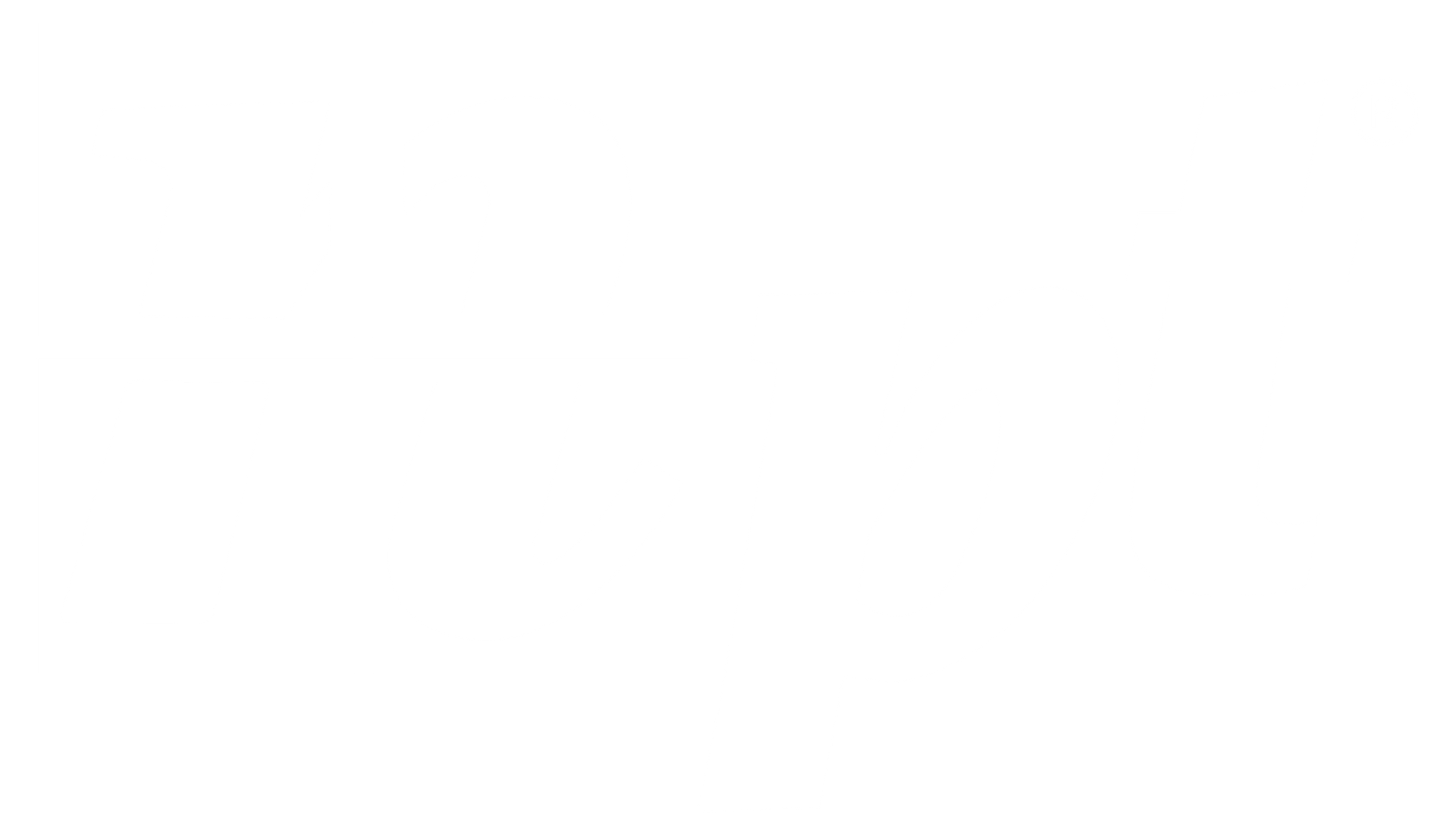 Vega Stone Brokers LLC