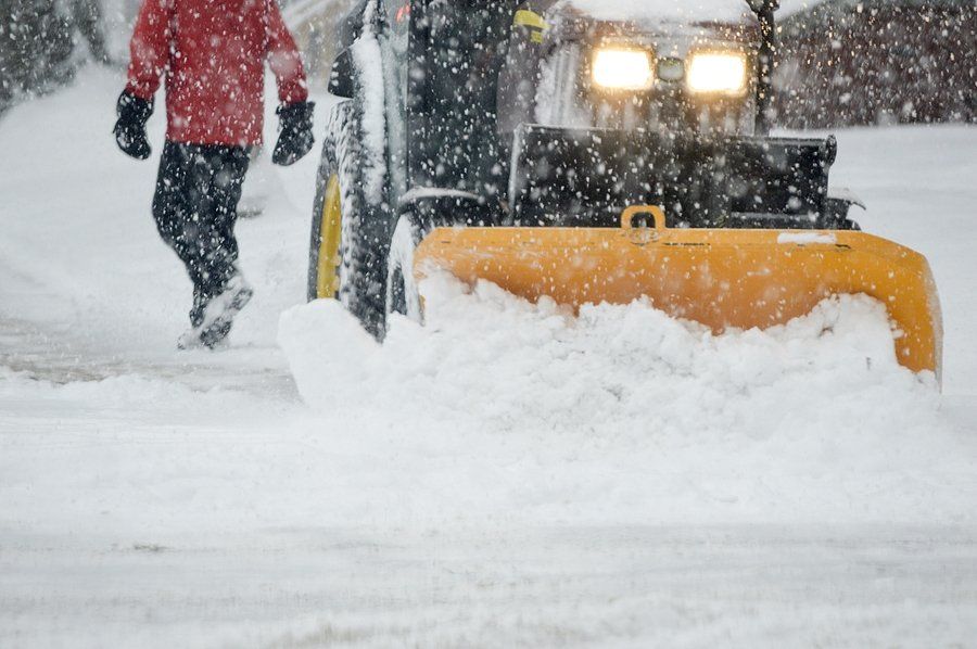 worker standing in the snow