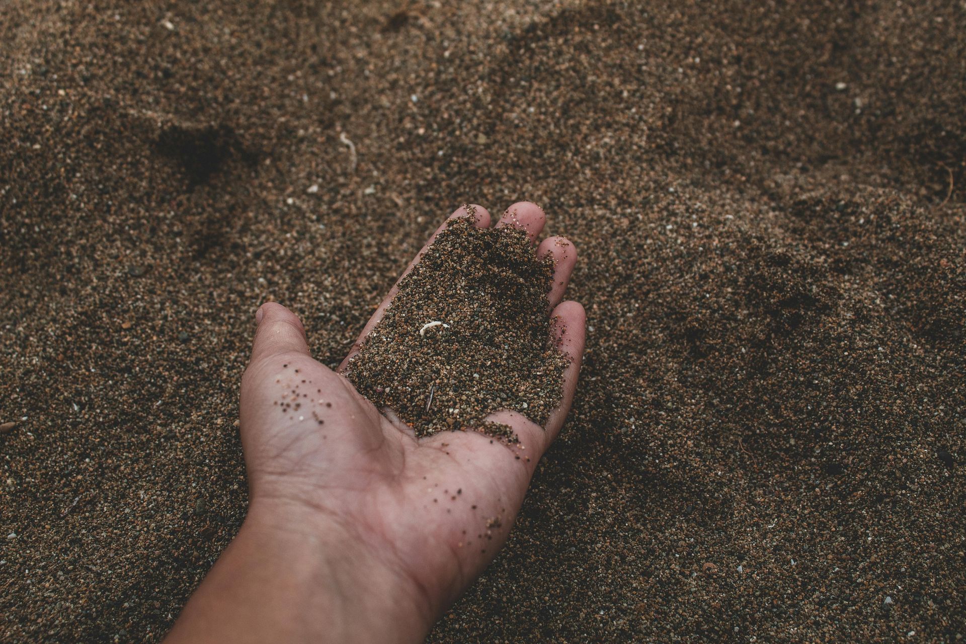 Hand holding soil in sod installation project