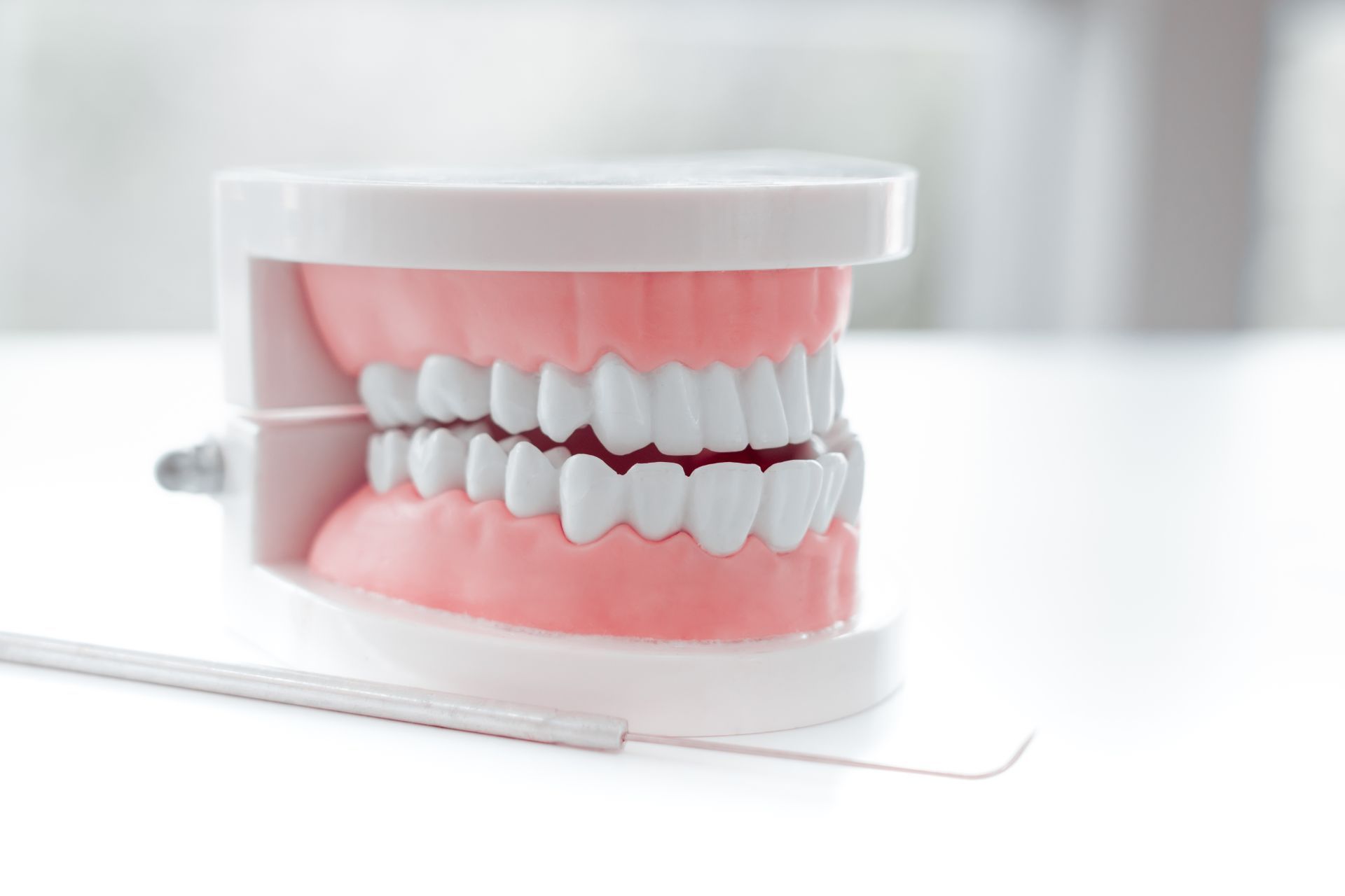 riproduzione arcata dentaria