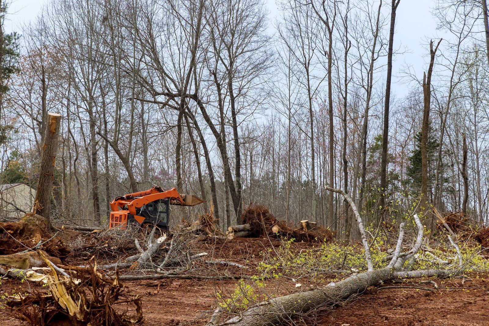 A yellow track loader sits on a patch of red dirt at a construction site with a forest in the background.