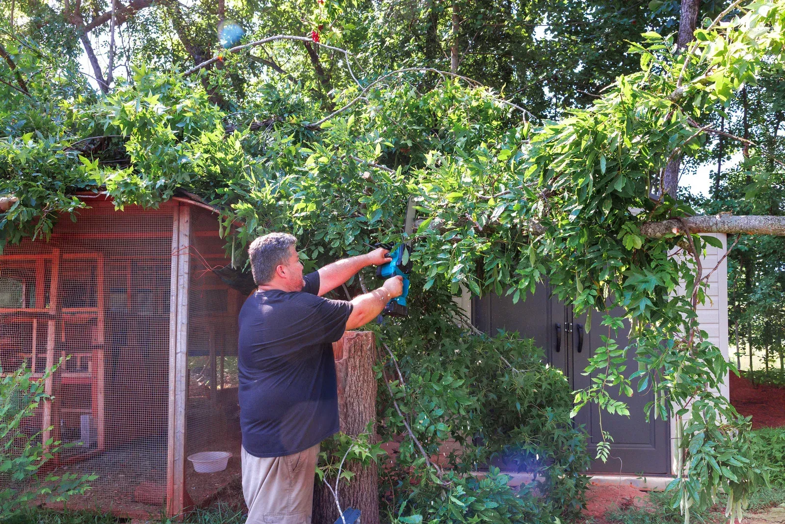 A yellow industrial stump grinder chips away at a large tree stump in a yard near a wooden fence.