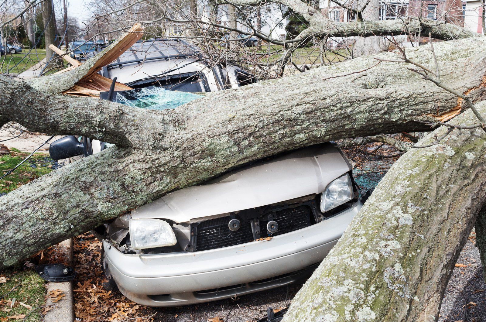 A utility worker in a reflective vest watches a bucket truck working on power lines near a fallen tree and house.