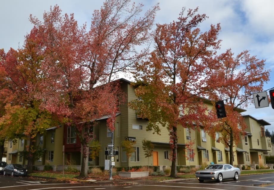 O-Town 2,3 & 4 Bedrooms